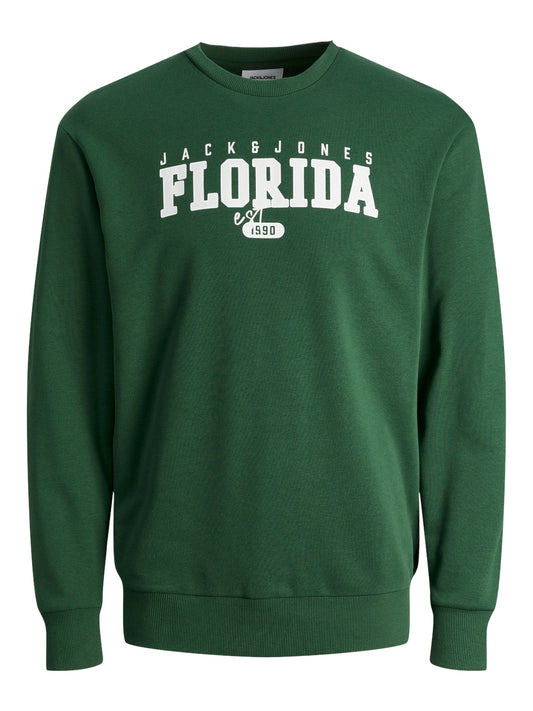 JJCORY SWEAT CREW NECK JNR dark green